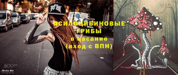 бошки Алексеевка