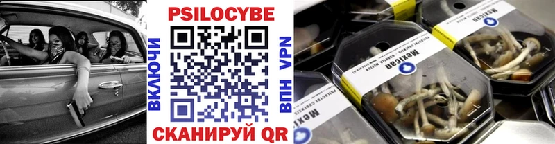 Псилоцибиновые грибы Cubensis  Игра 
